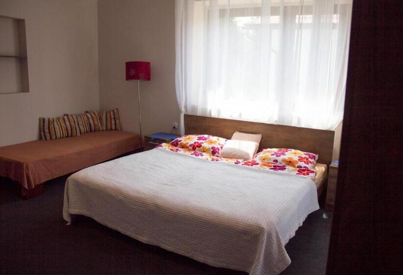 اتاق استاندارد با تخت بزرگ, Gościnny Dom