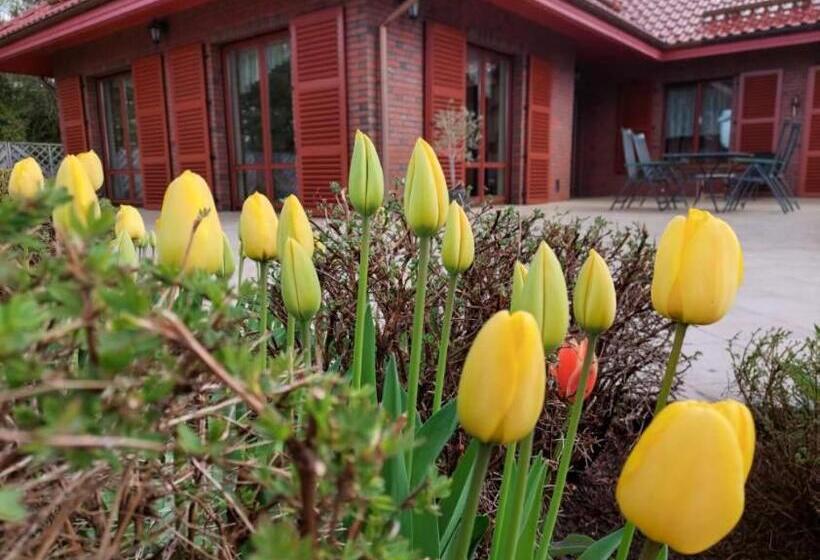 一居室高级别墅, Port Jeziorak