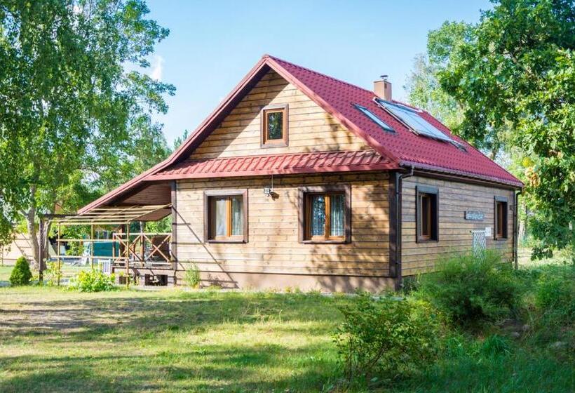 4ベッドルームハウス, Agroturystyka żubr