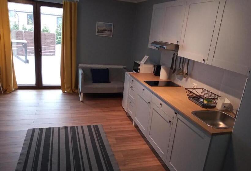 آپارتمان 1 خوابه با تراس, Mazurska Apartamenty