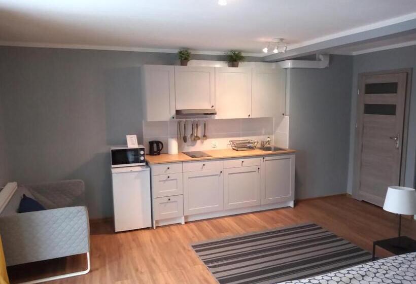 آپارتمان 1 خوابه با تراس, Mazurska Apartamenty