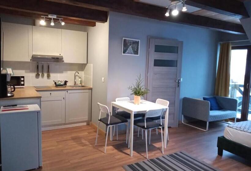 آپارتمان 1 خوابه با بالکن, Mazurska Apartamenty