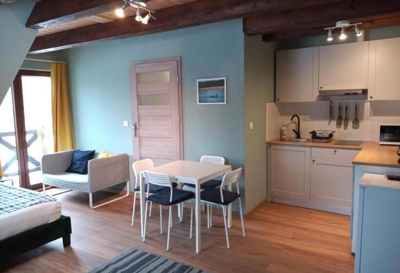 آپارتمان 1 خوابه با بالکن, Mazurska Apartamenty