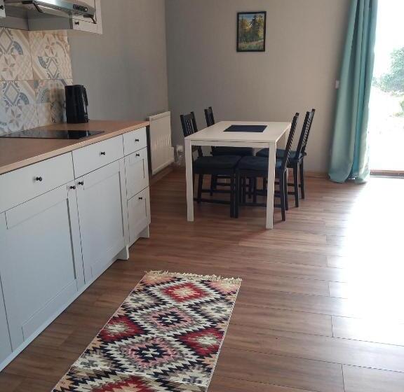 آپارتمان 1 خوابه همکف, Mazurska Apartamenty