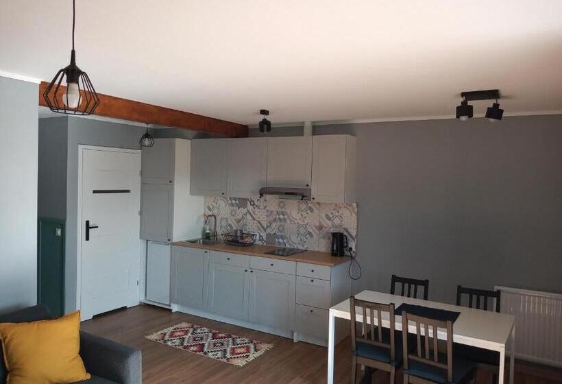 آپارتمان 1 خوابه همکف, Mazurska Apartamenty
