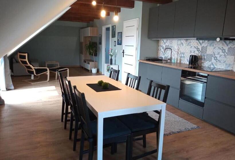 اتاق استاندارد, Mazurska Apartamenty