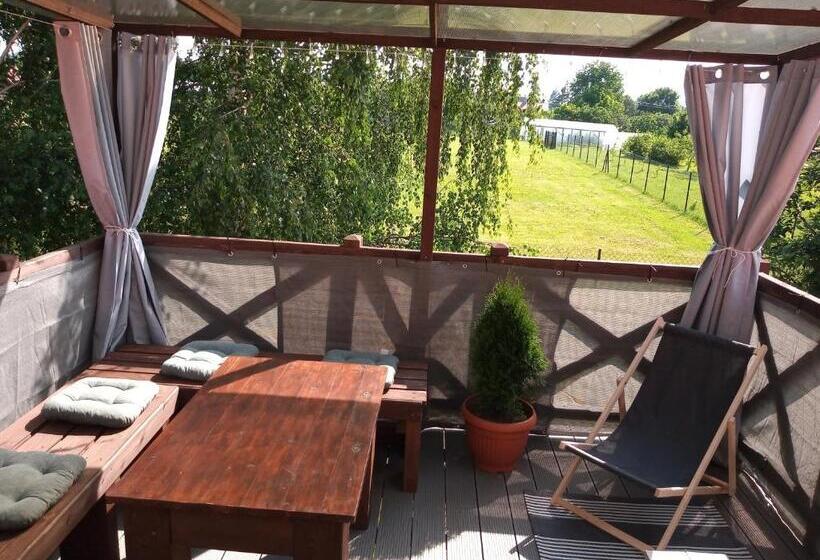 اتاق استاندارد, Mazurska Apartamenty