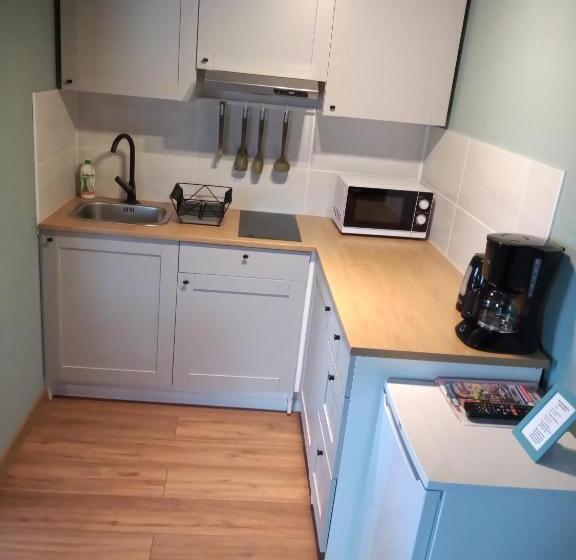 آپارتمان 1 خوابه با بالکن, Mazurska Apartamenty