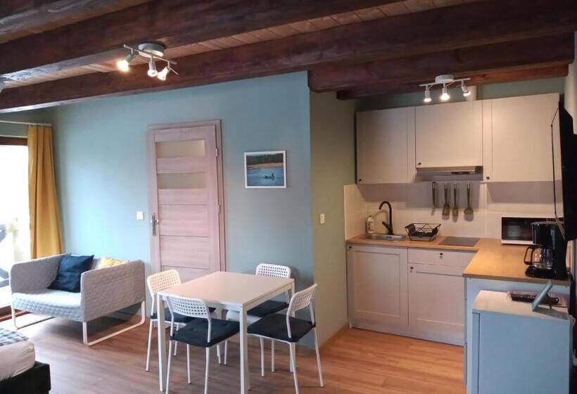 آپارتمان 1 خوابه با بالکن, Mazurska Apartamenty