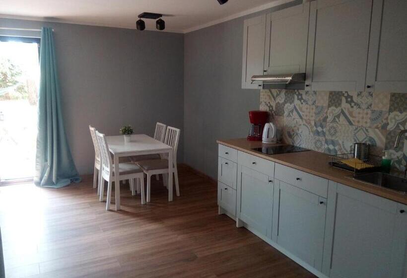 آپارتمان 1 خوابه همکف, Mazurska Apartamenty