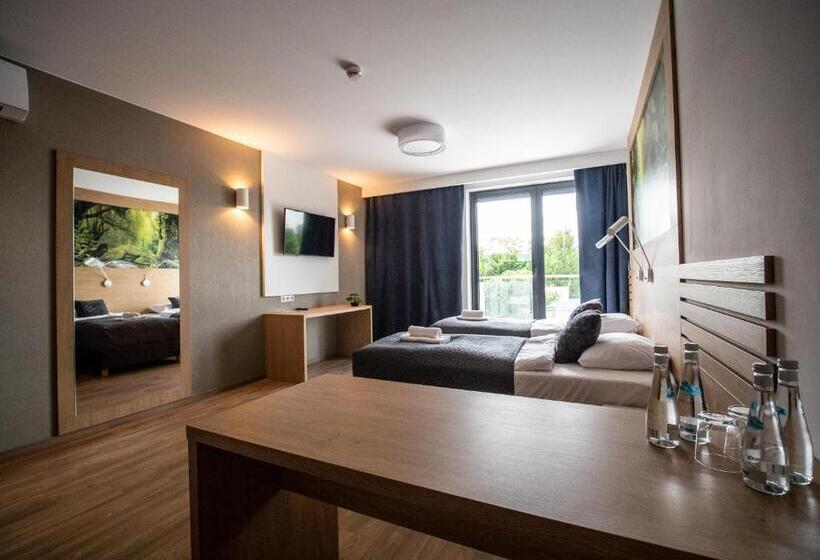 テラス付きスタンダードルーム, Panorama