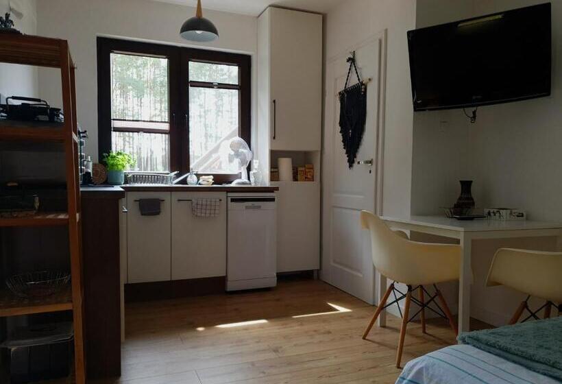 Студио Стандарт с Террасой, Siedlisko Owink