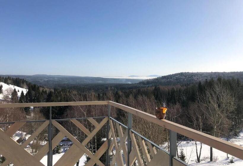 חדר סטנדרט עם טרסה, Skałka Zieleniec