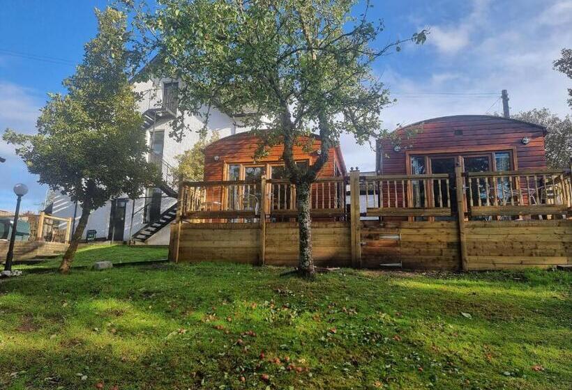 Номер Стандарт с Балконом, Roy Bridge