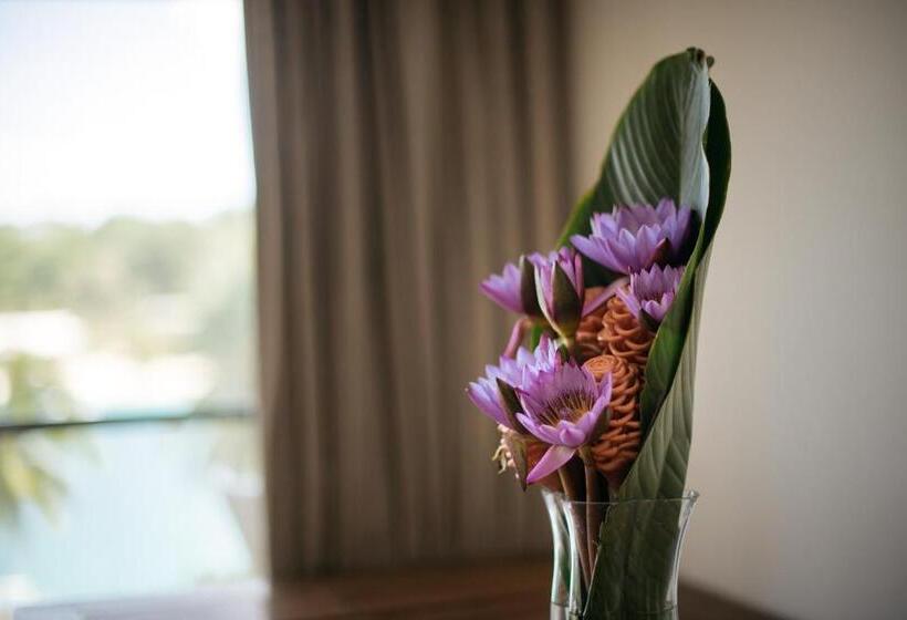 استودیوی استاندارد, Mariner Apartments