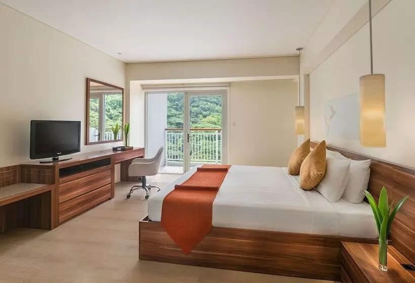 Superior Room Mountain View