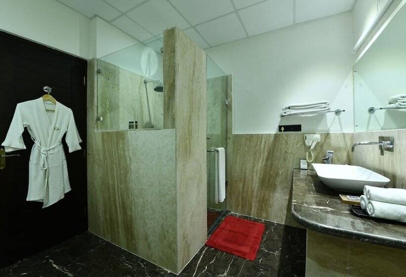 اتاق استاندارد, Span Resort And Spa, Manali