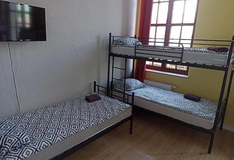 חדר סטנדרטי לחמישה אנשים, Open Tours