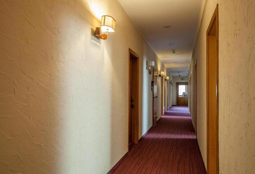 Одноместный Номер Basic, Mùlk Chëcz Kaszëbsko