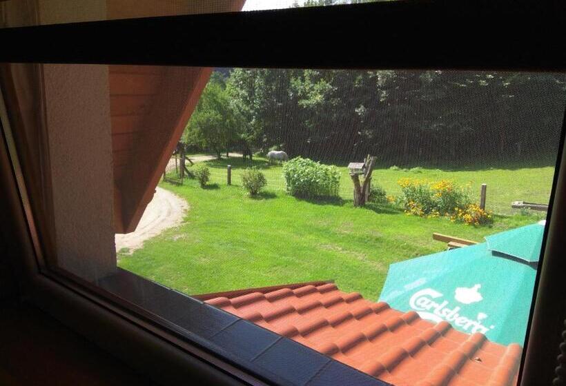 חדר סטנדרט לשלושה, Agroturystyka W świcie