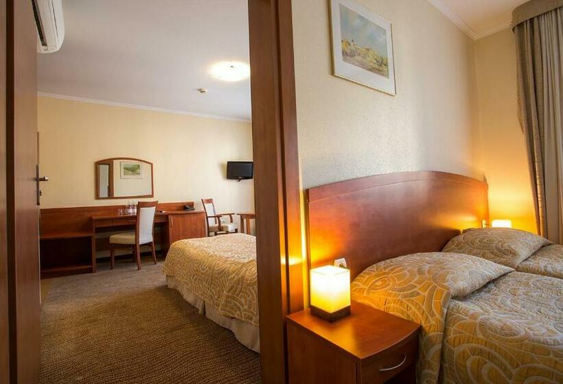 Номер Стандарт, Pensjonat Muszyna