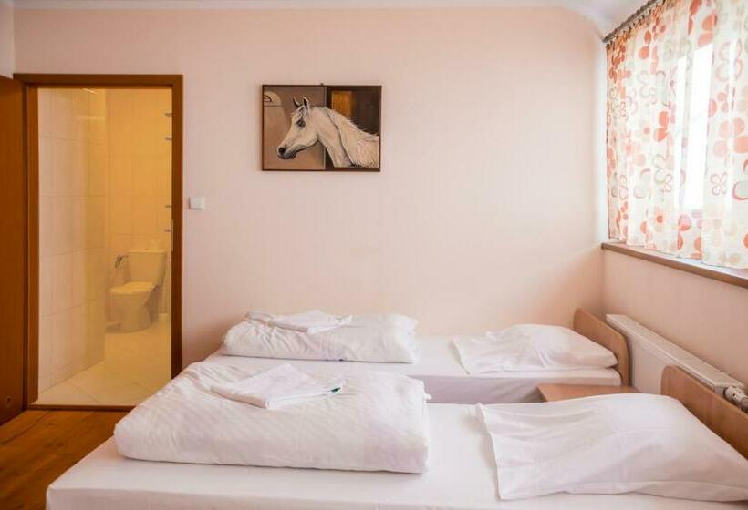 スタンダードトリプルルーム, Podkowa