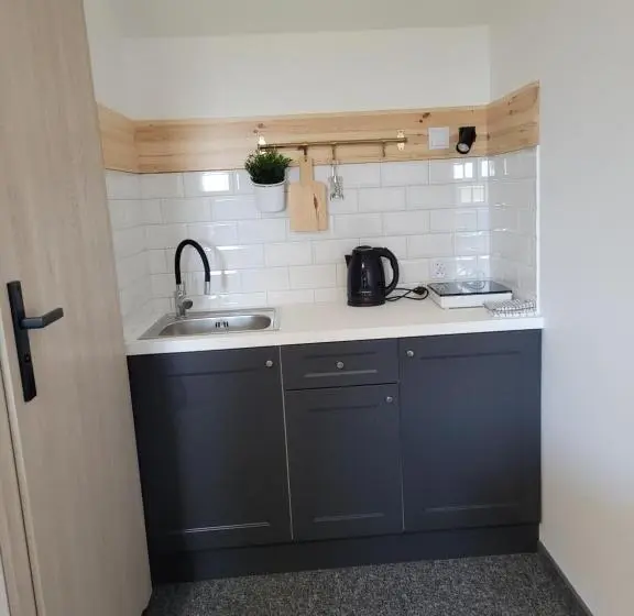 デラックスルーム, Karolowy Pokoje&apartamenty