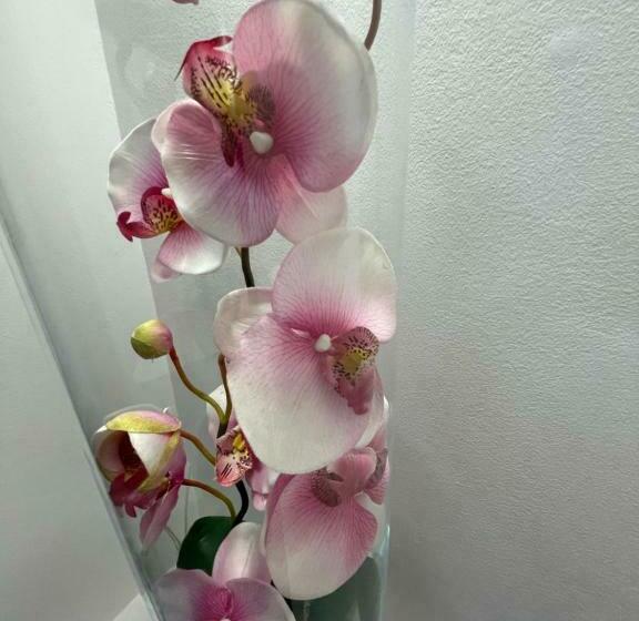 غرفة قياسية مزوَّدة بشُرفة, Willa Mira 200 Metrów Od Morza