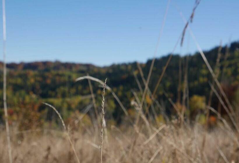 スタンダードルーム, Apartamenty Przy Hotelu żywieckim