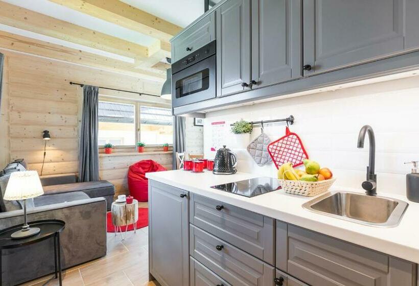 Apartamento 1 Dormitório com Terraço, Apartamenty Zobacz Giewont Zakopane