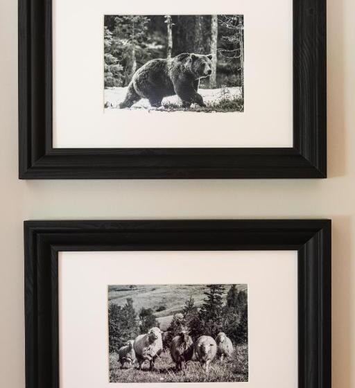 آپارتمان 1 خوابه با تراس, Apartamenty Zobacz Giewont Zakopane