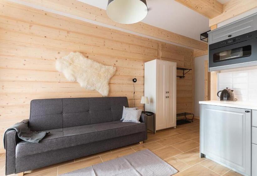 Apartamento 1 Dormitório com Vistas, Apartamenty Zobacz Giewont Zakopane