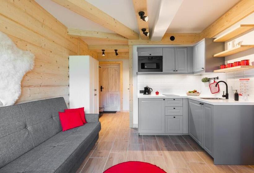 آپارتمان 1 خوابه با بالکن, Apartamenty Zobacz Giewont Zakopane