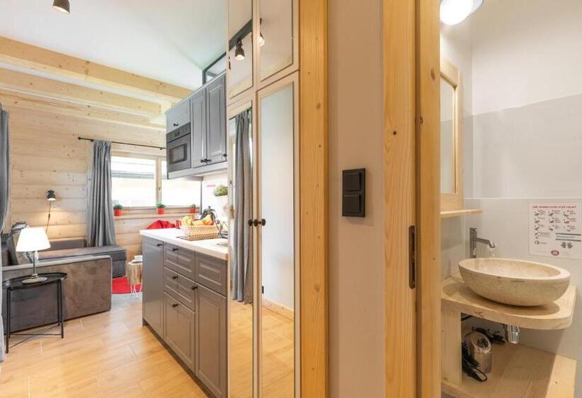 آپارتمان 1 خوابه با تراس, Apartamenty Zobacz Giewont Zakopane