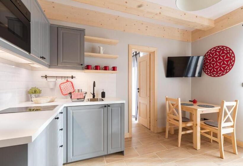 آپارتمان 1 خوابه با چشمانداز, Apartamenty Zobacz Giewont Zakopane