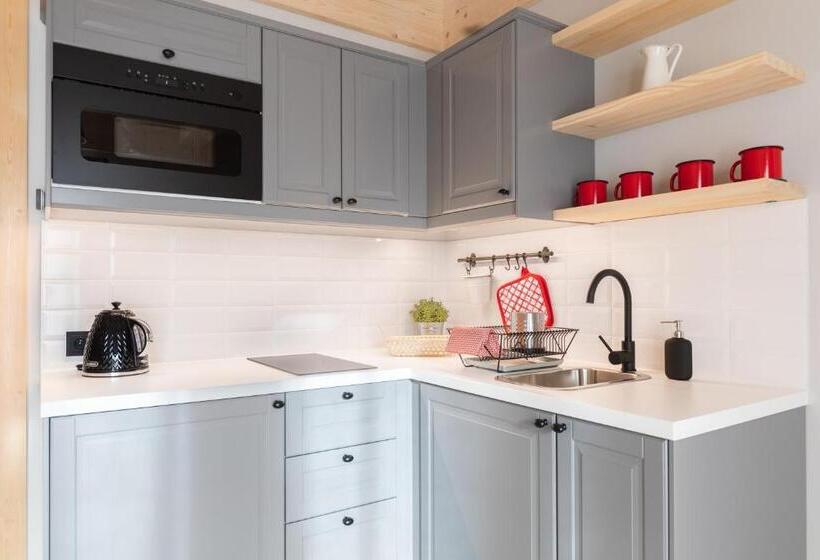 آپارتمان 1 خوابه با چشمانداز, Apartamenty Zobacz Giewont Zakopane