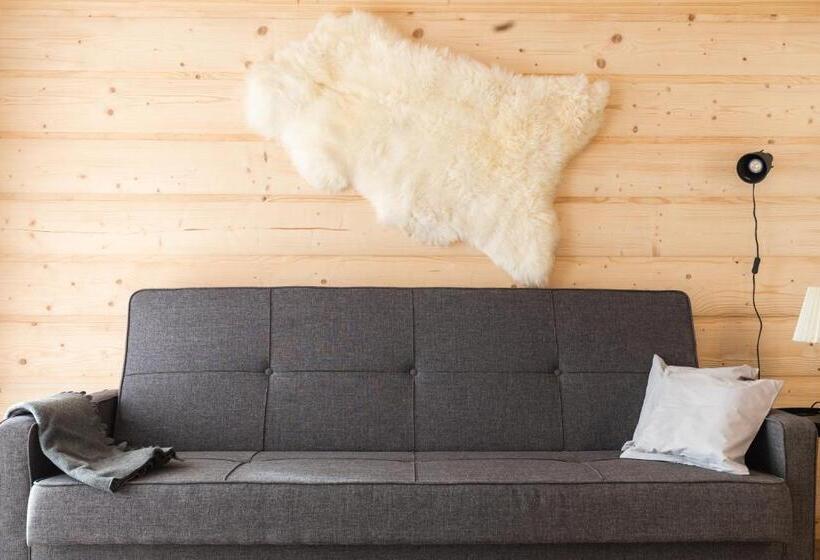 آپارتمان 1 خوابه با چشمانداز, Apartamenty Zobacz Giewont Zakopane