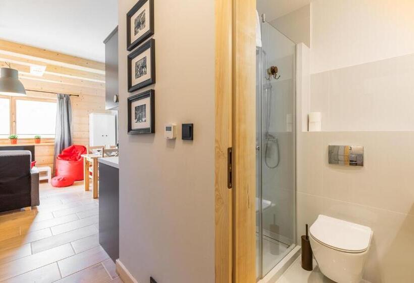 آپارتمان لوکس 1 خوابه, Apartamenty Zobacz Giewont Zakopane