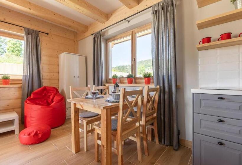 آپارتمان لوکس 1 خوابه, Apartamenty Zobacz Giewont Zakopane