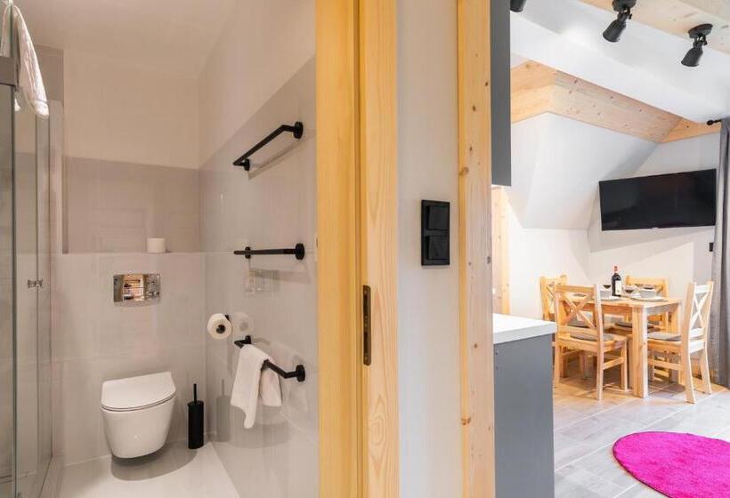 آپارتمان 1 خوابه با بالکن, Apartamenty Zobacz Giewont Zakopane