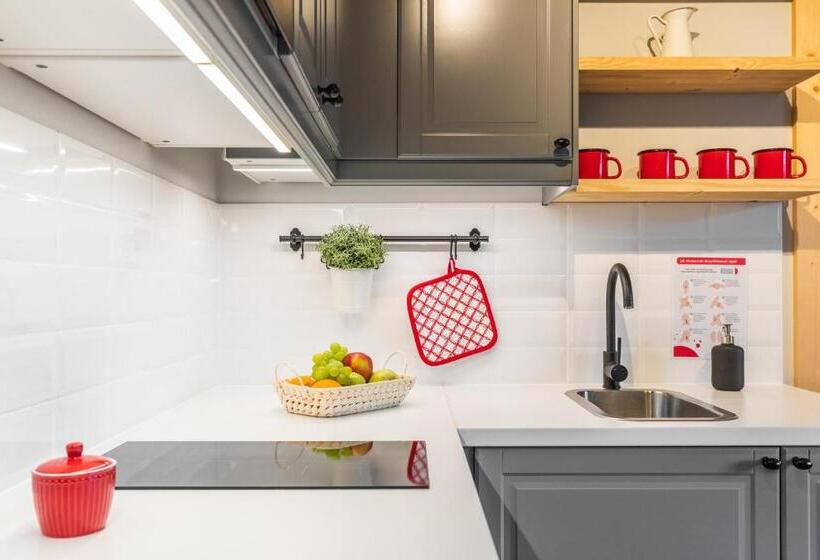 آپارتمان 1 خوابه با بالکن, Apartamenty Zobacz Giewont Zakopane