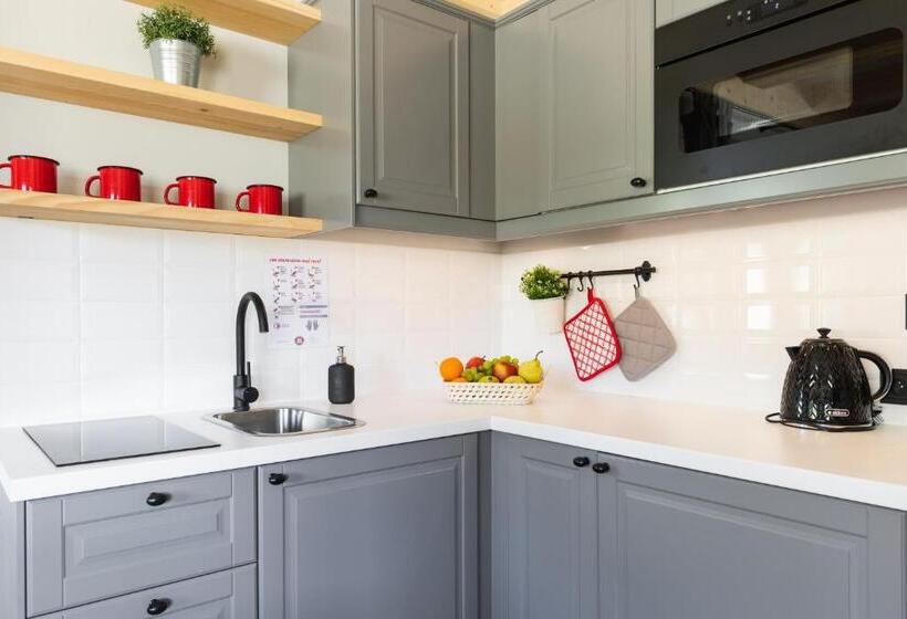 آپارتمان لوکس 1 خوابه, Apartamenty Zobacz Giewont Zakopane