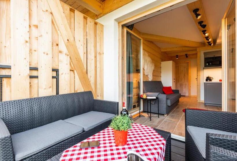 آپارتمان 1 خوابه با بالکن, Apartamenty Zobacz Giewont Zakopane