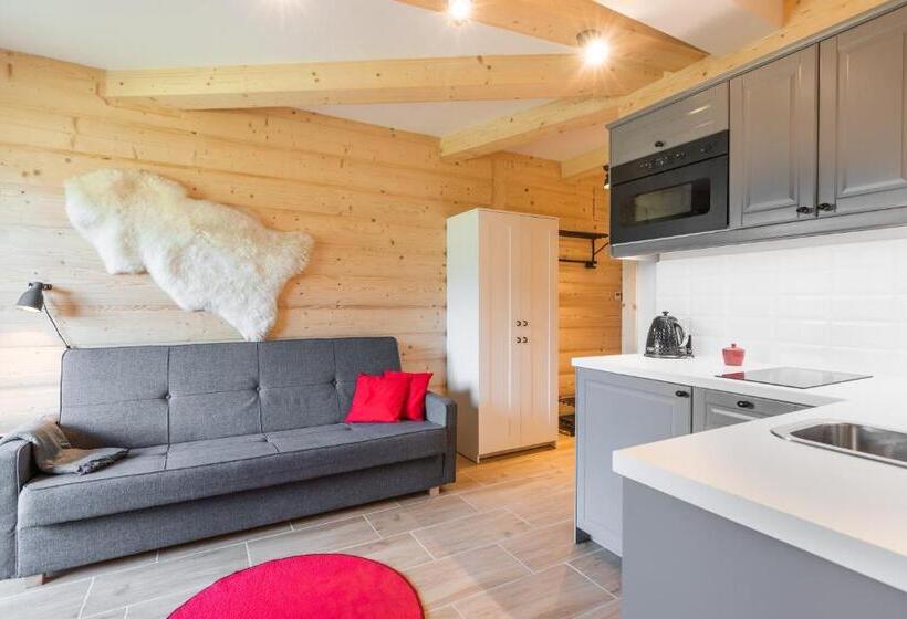 آپارتمان 1 خوابه با بالکن, Apartamenty Zobacz Giewont Zakopane