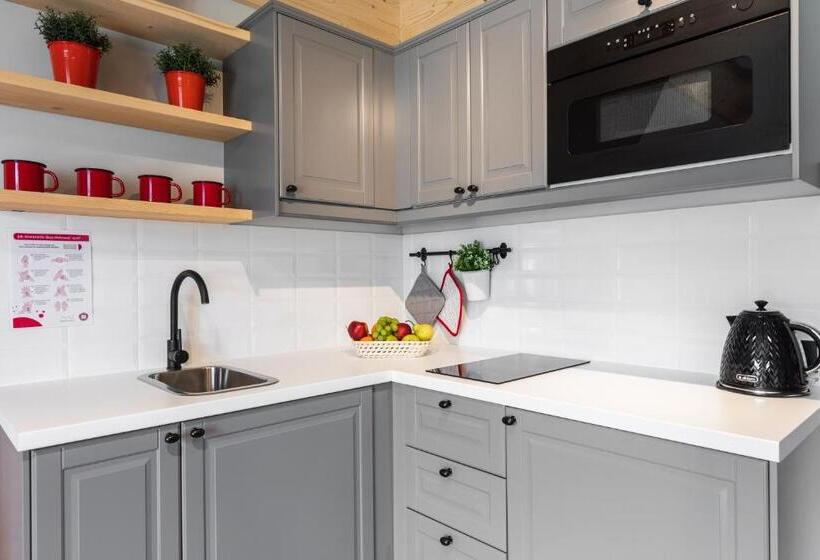 آپارتمان 1 خوابه, Apartamenty Zobacz Giewont Zakopane