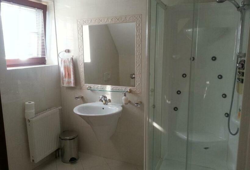 Одноместный Номер Executive, Agro Gala