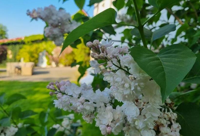 חדר סטנדרט, Folwark Leszczynówka