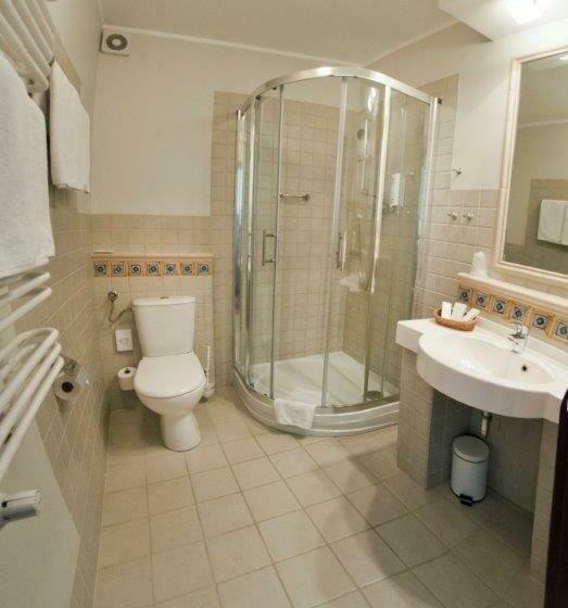 Номер Стандарт Индивидуальный, żubrówka Spa & Wellness