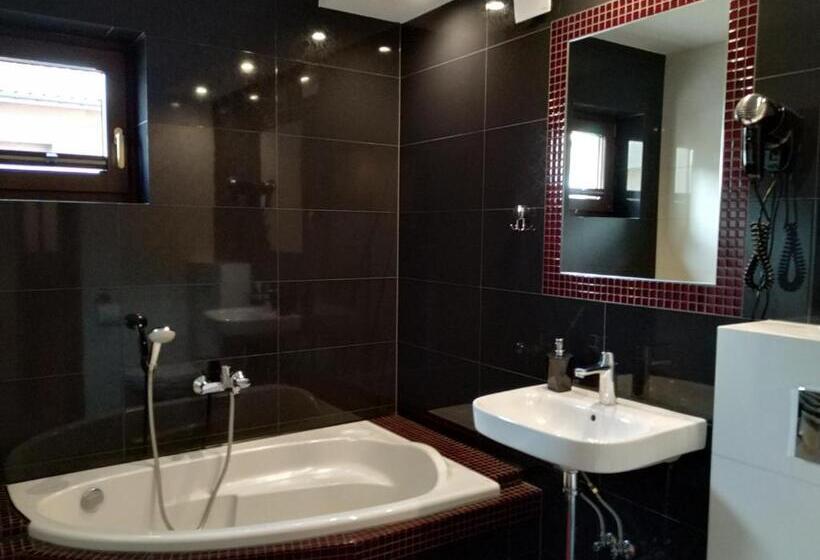 اتاق لوکس خانوادگی, Willa Klaudia Ustroń Centrum