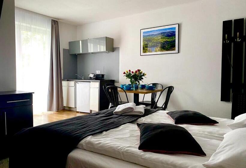 استودیو استاندارد با چشمانداز, Willa Luiza